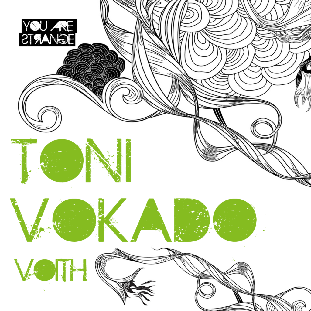 Toni Vokado – Voith