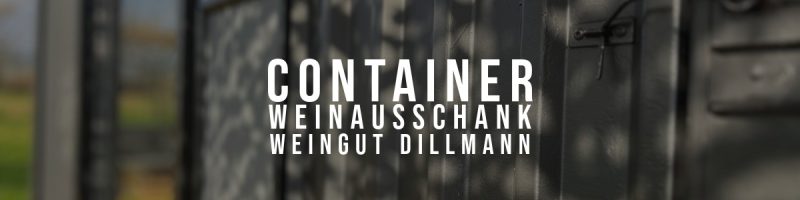 2025-09-07-Weingut-Dillmann-Electro-Strausse