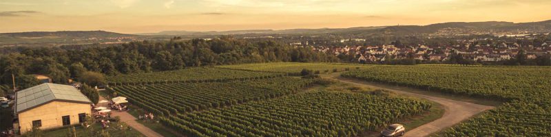 dillmann-events-weingut